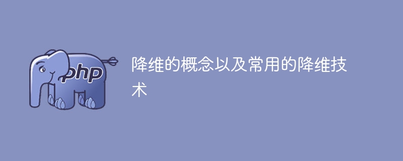 常见降维技术及其概念