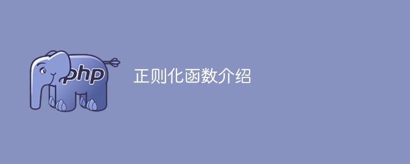 正则化函数的解释