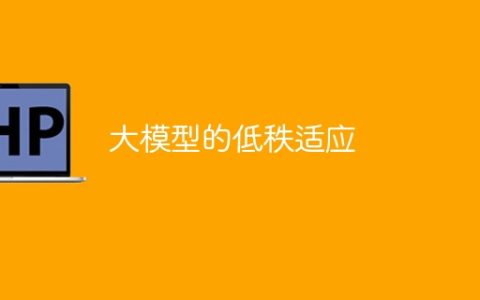 适应大型低秩模型
