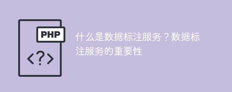 数据标注服务及其重要性:了解数据标注服务的定义及其重要性