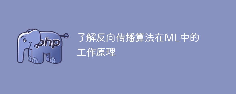 理解机器学习中反向传播算法的运行机制