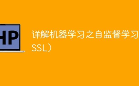 深入探讨SSL的自监督学习方法