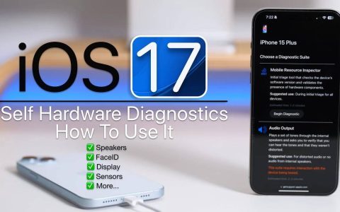 如何在 iPhone 上使用 iOS 17 诊断工具