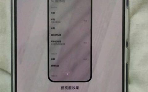 小米手机DC调光功能（定制化光线亮度，独特主题魅力尽显）