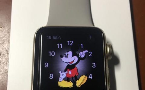 AppleWatchSport（探索AppleWatchSport系列的多样性与实用性）