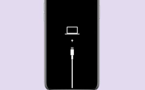 苹果手机卡在Apple标志上？5种方法解决它！
