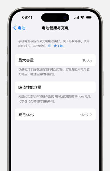 如何查看苹果iPhone 15电池健康?