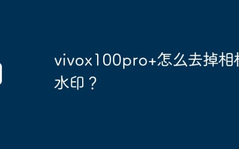vivox100pro+怎么去掉相机水印？