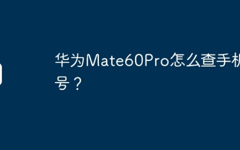 华为Mate60Pro怎么查手机型号？