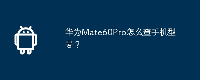 华为mate60pro怎么查手机型号?
