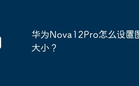 华为Nova12Pro怎么设置图标大小？