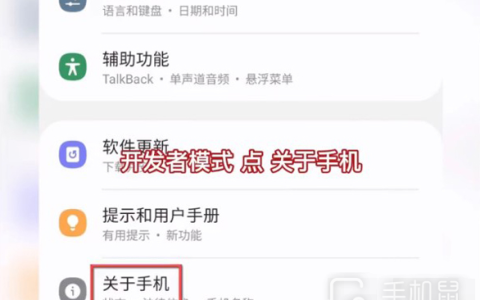 三星s24Ultra怎么打开开发者选项？