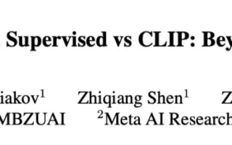 后Sora时代，CV从业者如何选择模型？卷积还是ViT，监督学习还是CLIP范式