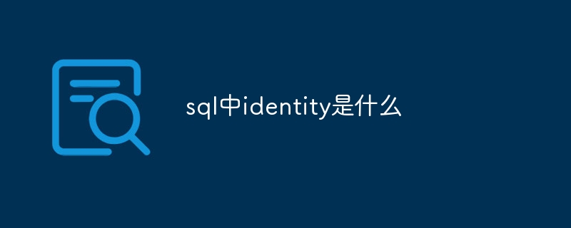 SQL中的identity属性是什么意思?
