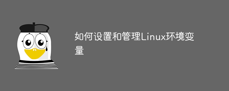 如何设置和管理linux环境变量