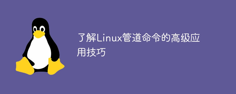 了解Linux管道命令的高级应用技巧