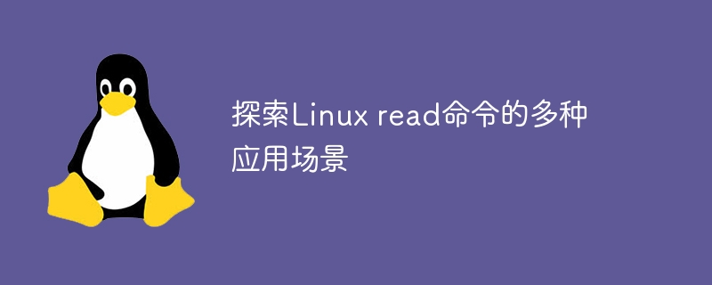 Linux read命令的广泛用途:探索多种应用场景