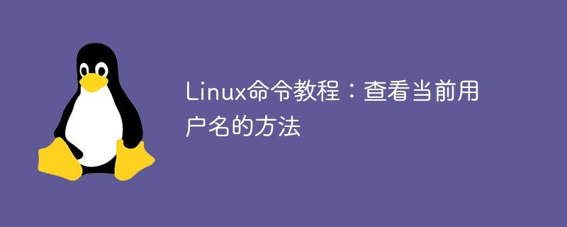 linux命令教程:查看当前用户名的方法