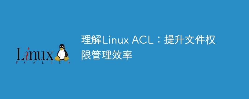 深入探讨Linux ACL:优化文件权限管理