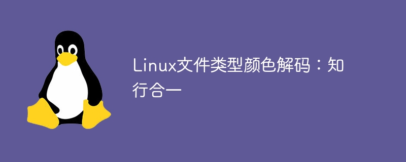 Linux文件类型颜色解析:理论与实践