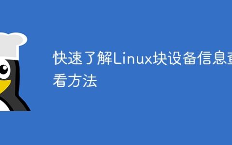 Linux块设备信息查看方法简明指南