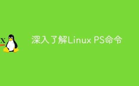Linux PS命令深度解析