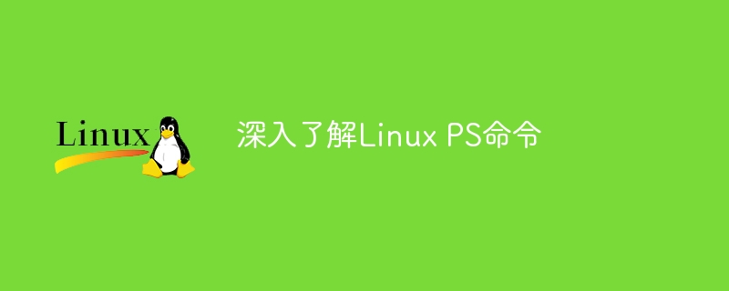 Linux PS命令深度解析