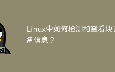 在Linux系统中，如何查看和诊断块设备信息？