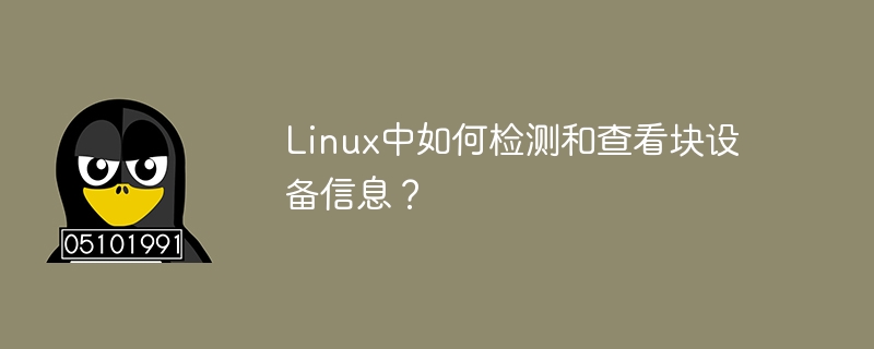 linux中如何检测和查看块设备信息?