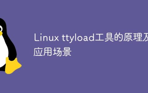 原理和应用场景：Linux中ttyload工具的工作原理和实际用途