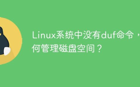 在Linux系统中没有duf命令，如何有效地管理磁盘空间？