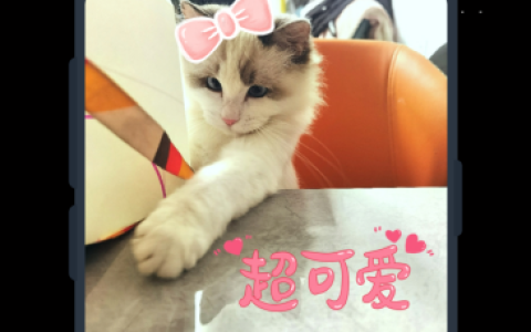 小众好用的视频编辑APP推荐_视频格式转换黑科技安卓软件有哪些