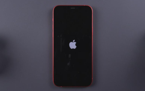 iOS17.4系统降级白苹果了怎么办？2种iOS系统修复办法解决！