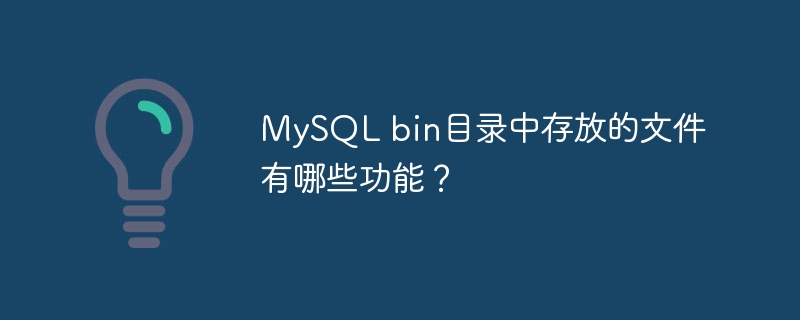 mysql bin目录中存放的文件有哪些功能？