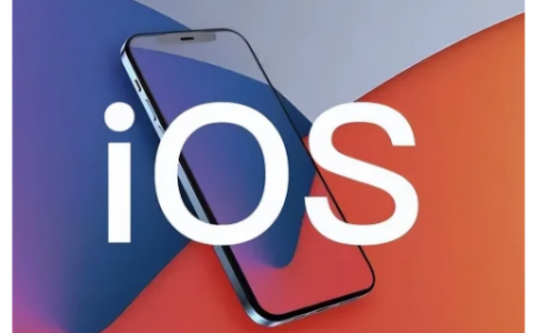 iOS的developer版和public版有什么区别？