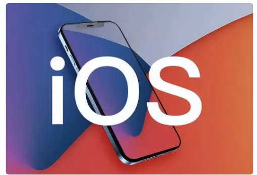 iOS的developer版和public版有什么区别?
