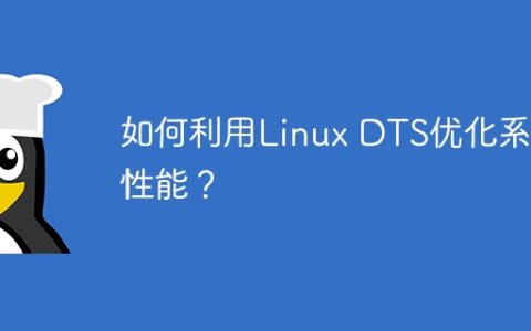 如何利用Linux DTS优化系统性能？