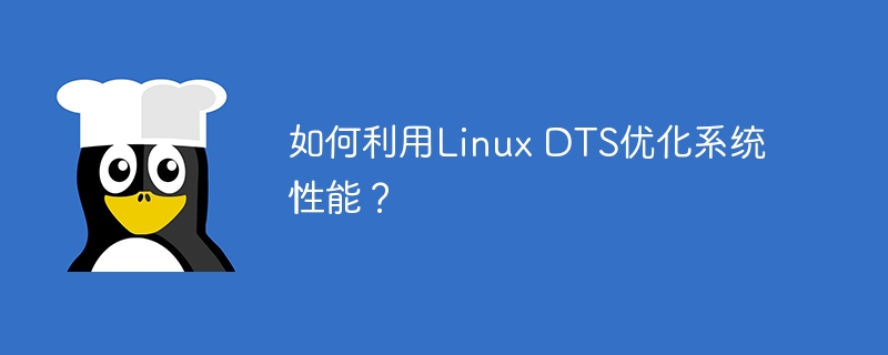 如何利用Linux DTS优化系统性能?