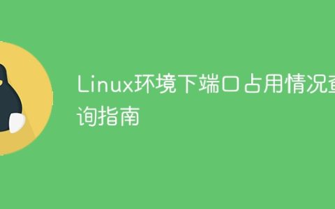 Linux环境下端口占用情况查询指南