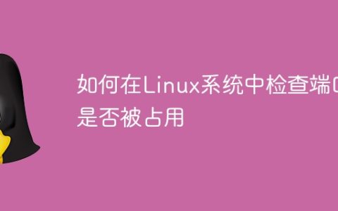 如何在Linux系统中检查端口是否被占用