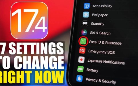 在 iPhone 上更改的基本 iOS 17.4 设置