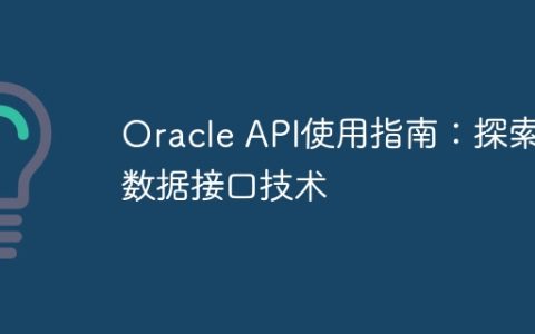 Oracle API使用指南：探索数据接口技术