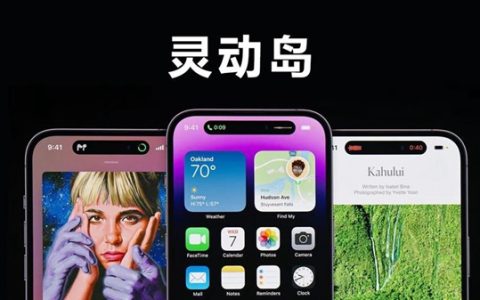 苹果15pls灵动岛怎么用