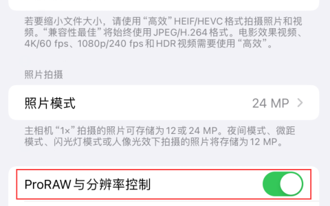 如何在 iPhone 15 Pro 系列机型中设置 Apple ProRAW 格式？