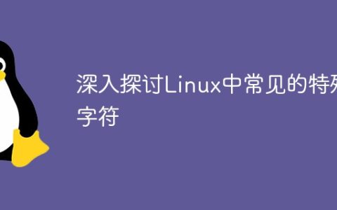 深入探讨Linux中常见的特殊字符