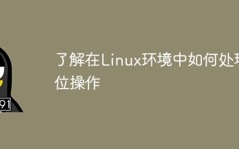 了解在Linux环境中如何处理位操作