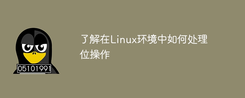 了解在Linux环境中如何处理位操作