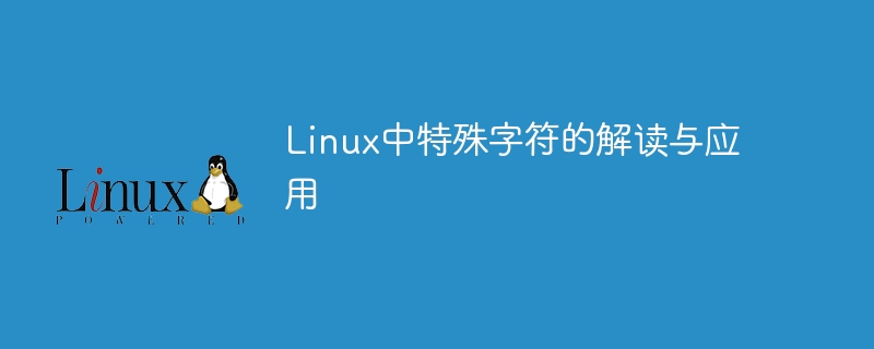 Linux中特殊字符的解读与应用
