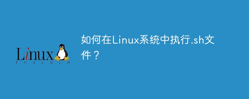 如何在Linux系统中执行.sh文件?