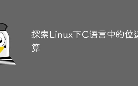 探索Linux下C语言中的位运算